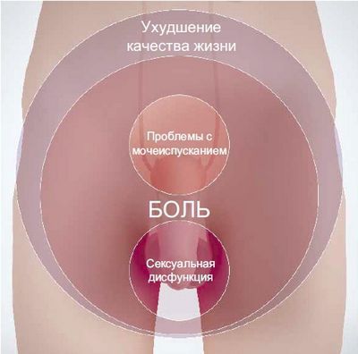 Волновая Форма Человека Павлов В.и